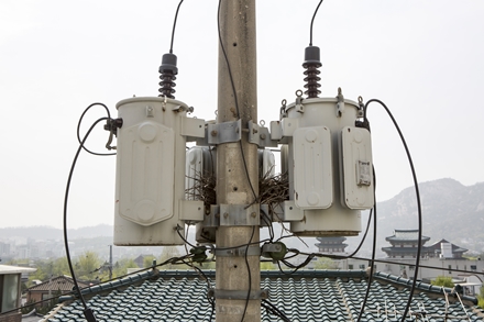 케이이에스 PC 이미지 1941933